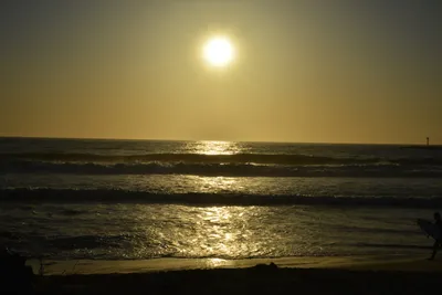 DSC_7279 (Large).JPG